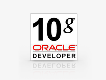 Oracle Developer